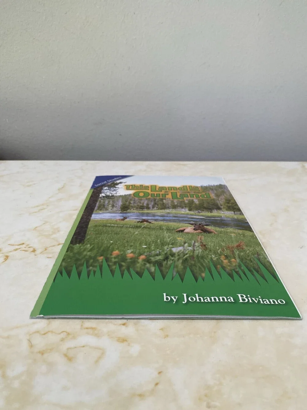 Pearson Scott Foresman This Land Is Our Land Reading Street 4.1.5 Book